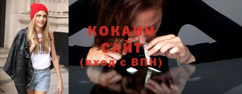 Cocaine Fish Scale  сколько стоит  ОМГ ОМГ ссылки  Киреевск 